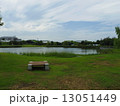 池のある公園 13051449