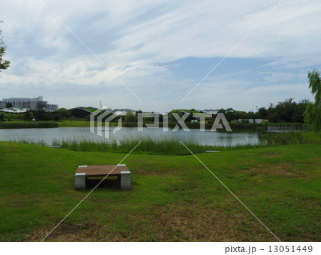 池のある公園 池のある公園 13051449