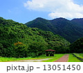 田舎道の東屋 13051450
