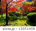 紅葉の庭 13051456