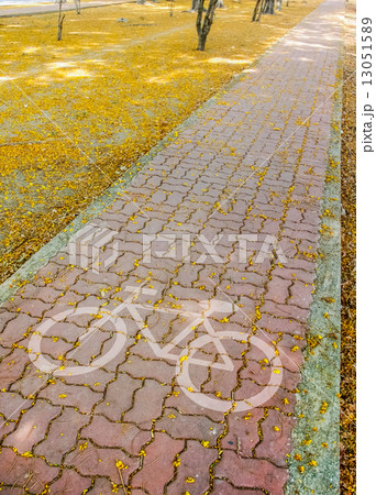 pathway on park pathway on park 13051589