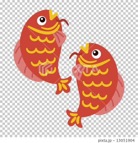 鯉 魚 赤色 魚類 二匹のイラスト素材