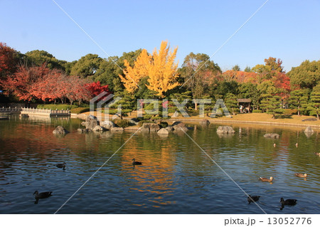 堺市大仙公園内の日本庭園の紅葉風景の写真素材