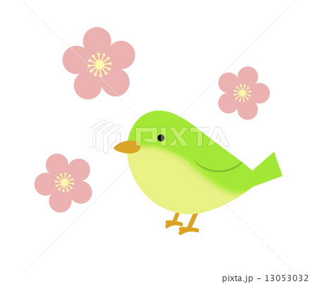 ウグイスと梅の花のイラスト素材