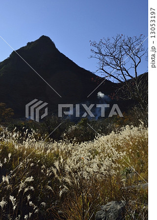 晩秋の大涌谷 13053197