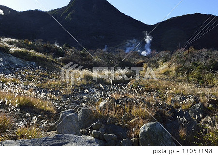 晩秋の大涌谷 13053198