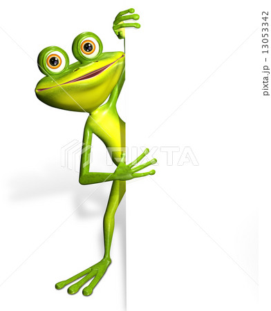 Frog and white background 13053342