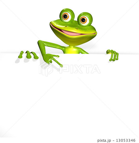 Frog and white background 13053346