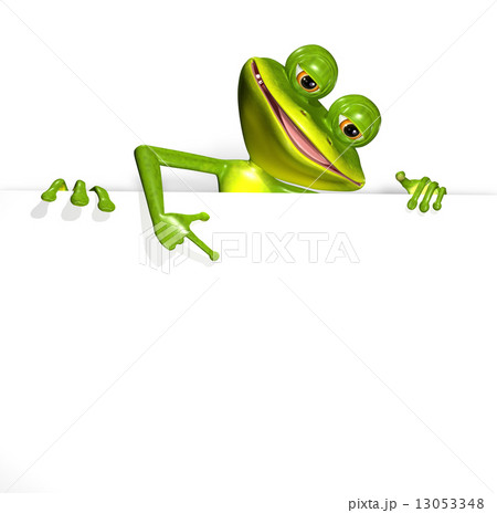 Frog and white background 13053348