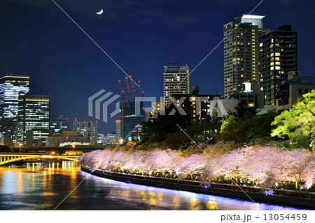 大阪 南天満公園の夜景 13054459