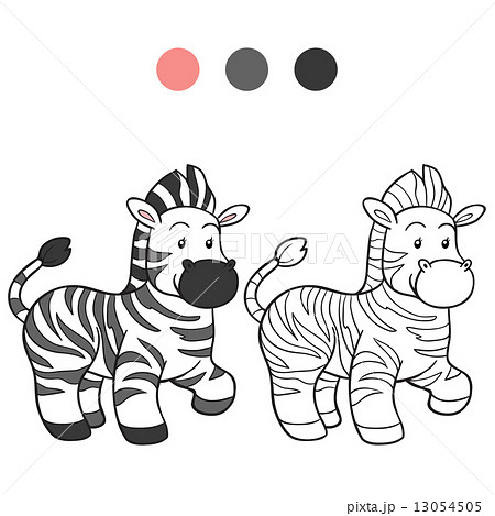 Coloring book (zebra) Coloring book (zebra) 13054505