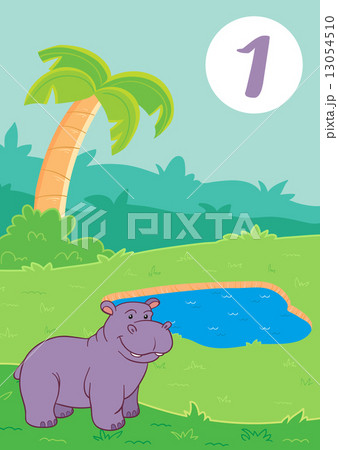 One cute hippo 13054510