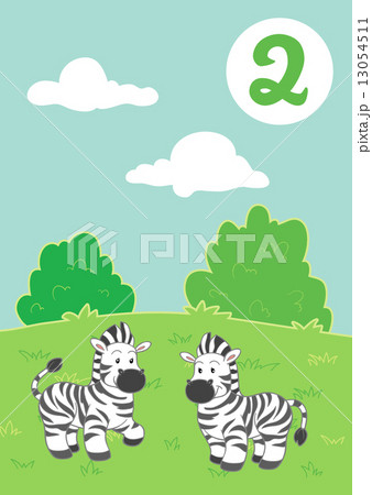 Two cute zebras Two cute zebras 13054511