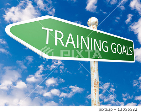 Training Goals Training Goals 13056532