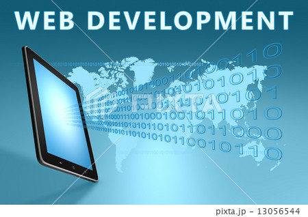 Web Development 13056544