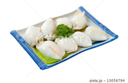 Fresh Calamari Close-Up 13056794