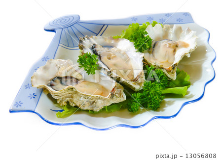 abalones on white background 13056808