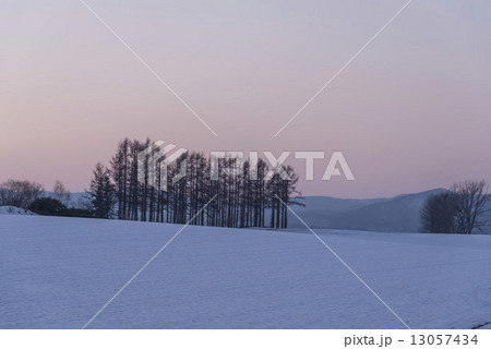 冬の薄暮 13057434