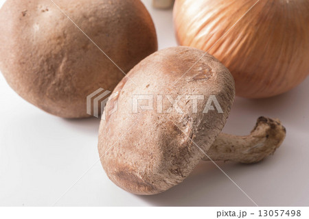 椎茸 13057498