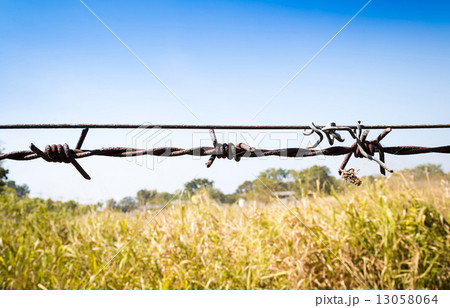 barbed wire fence 13058064