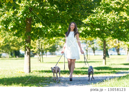 Young girl  with two greyhounds in the park 13058123