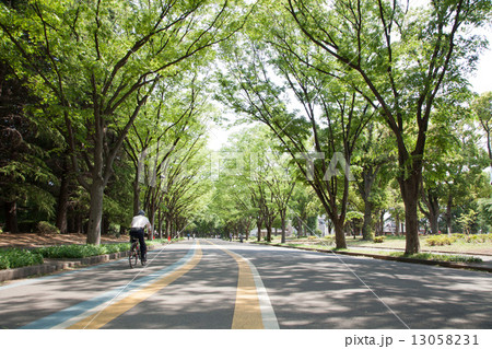 駒沢公園 13058231