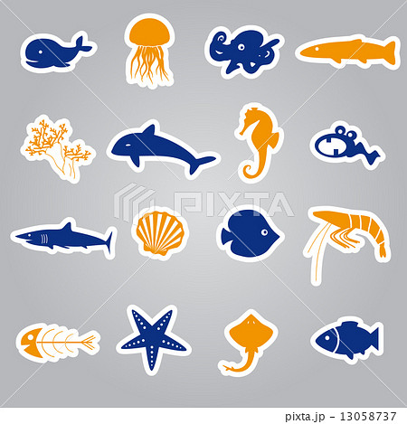 fish and sea life stickers set eps10 fish and sea life stickers set eps10 13058737