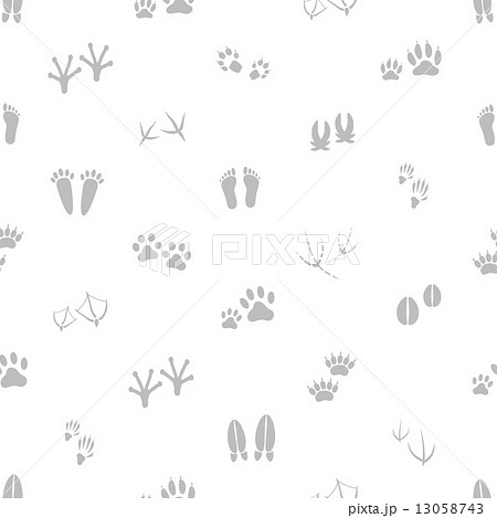 basic animal footprints gray and white seamless pattern eps10 13058743