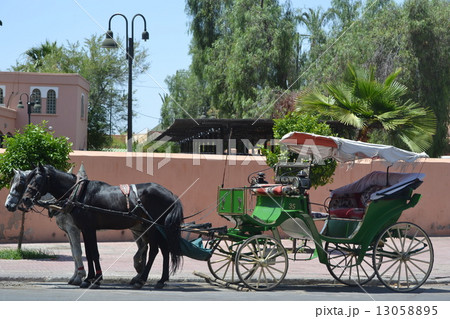 馬車 13058895