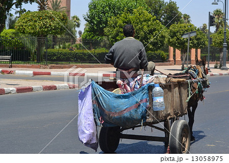荷馬車 13058975
