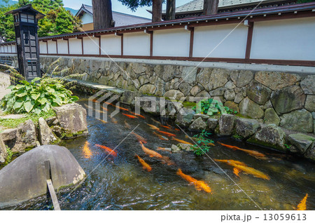 飛騨古川の街並み2 13059613