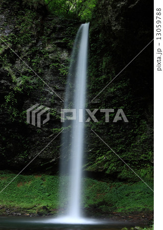 大鹿滝 13059788