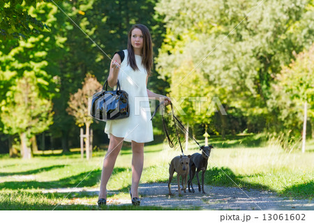Young girl  with two greyhounds in the park 13061602