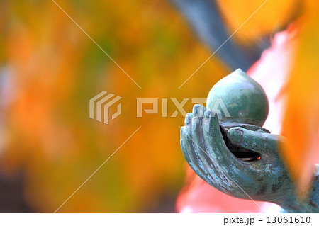 如意宝珠 13061610