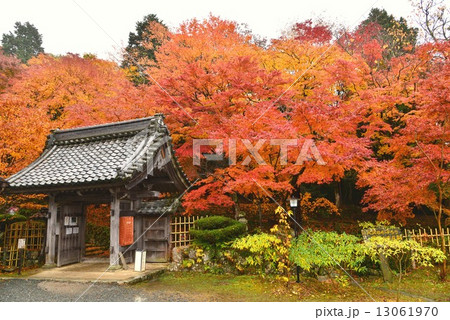 湖東三山・百済寺 13061970