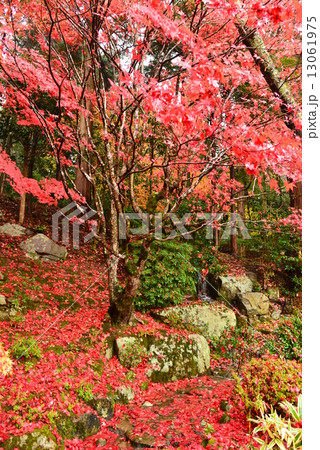 湖東三山・百済寺 13061975