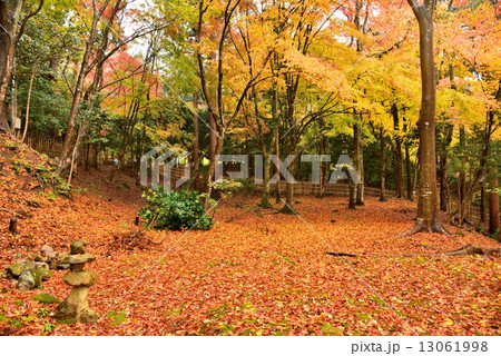 湖東三山・百済寺 13061998