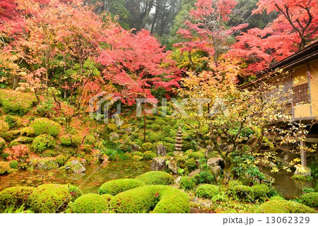 湖東三山・金剛輪寺 13062329