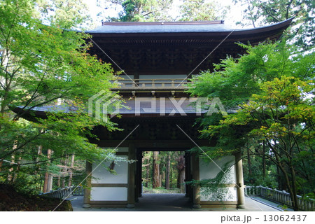 大雄山最乗寺 三門 大雄山最乗寺 三門 13062437