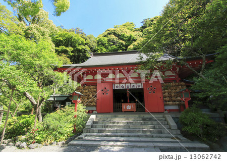 荏柄天神社の新緑 荏柄天神社の新緑 13062742