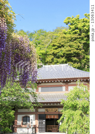 長谷寺の新緑 13063411