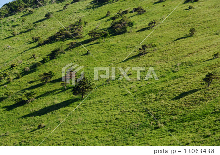 高原 高原 13063438