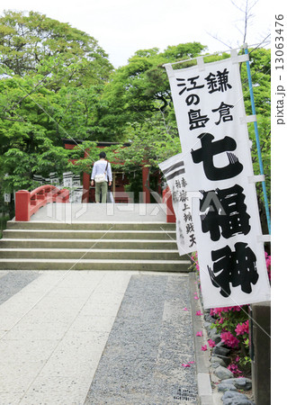 鶴岡八幡宮の新緑 鶴岡八幡宮の新緑 13063476