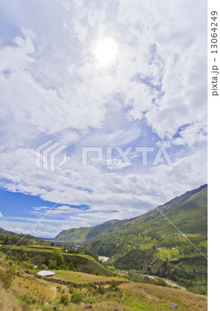 パプア パプア 13064249