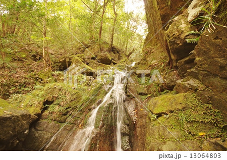 長門峡 長門峡 13064803