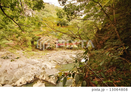 長門峡 長門峡 13064808