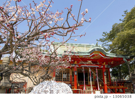 綱敷天満宮の梅 13065038