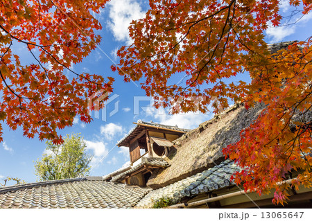 秋の詩仙堂 秋の詩仙堂 13065647