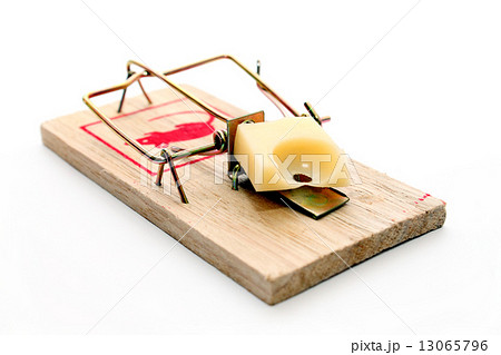 mousetrap mousetrap 13065796