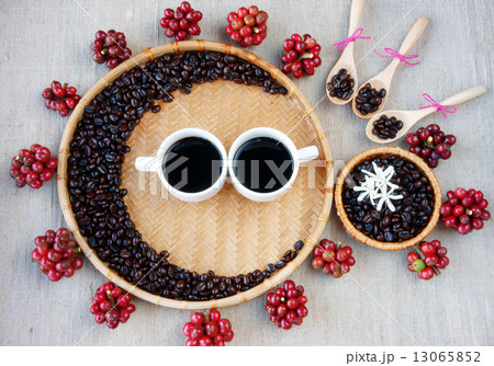 Collect of cafe bean, cup of coffee 13065852